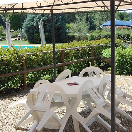 Fattoria Antognoni Reggello Quarto foto