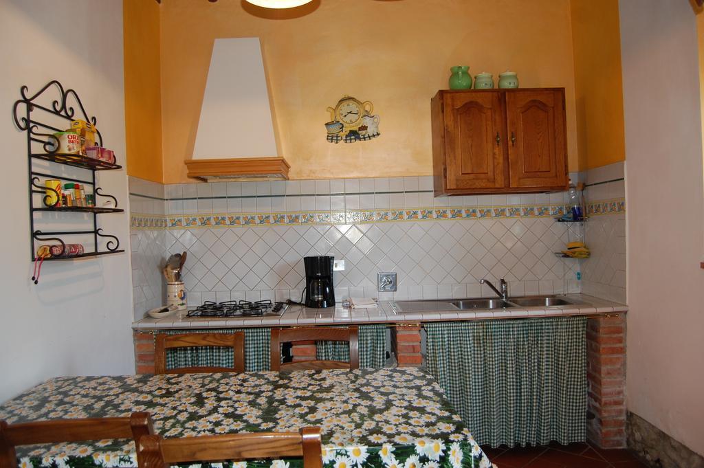 Fattoria Antognoni Reggello Exterior foto