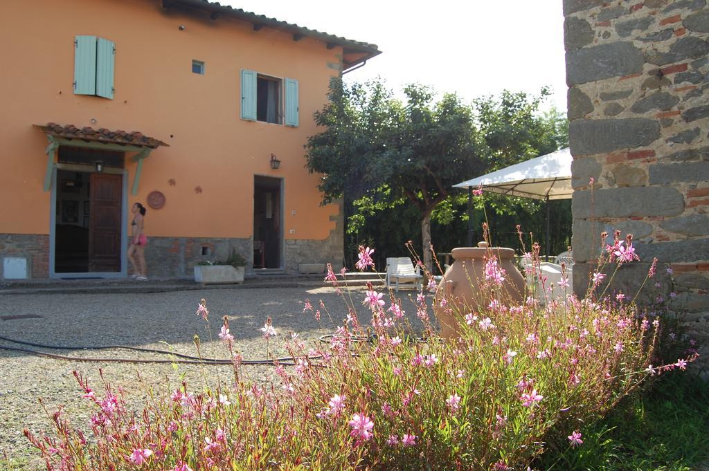 Fattoria Antognoni Reggello Exterior foto